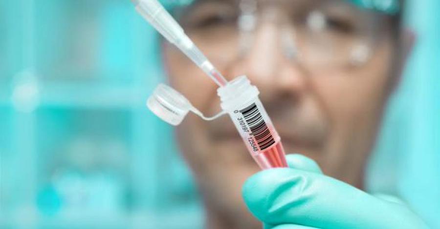 Descubren en Francia un medicamento contra el lupus