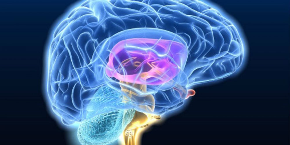 Nueva mirada a la expresión génica en el cerebro puede ofrecer pistas para tratar la enfermedad de Huntington