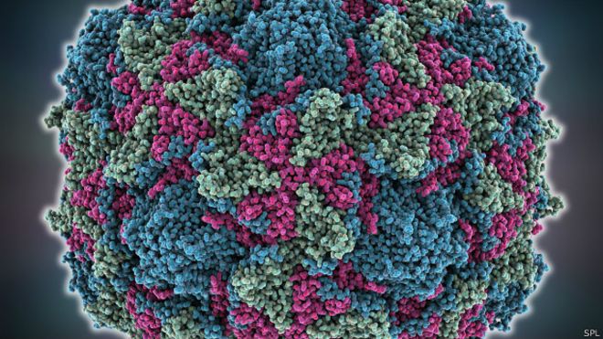 Enfermedad rara similar a la polio aparece en Minnesota