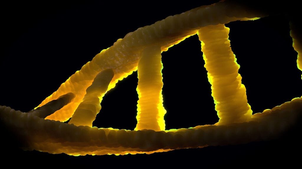 La terapia génica Txnip es prometedora para la retinosis pigmentaria